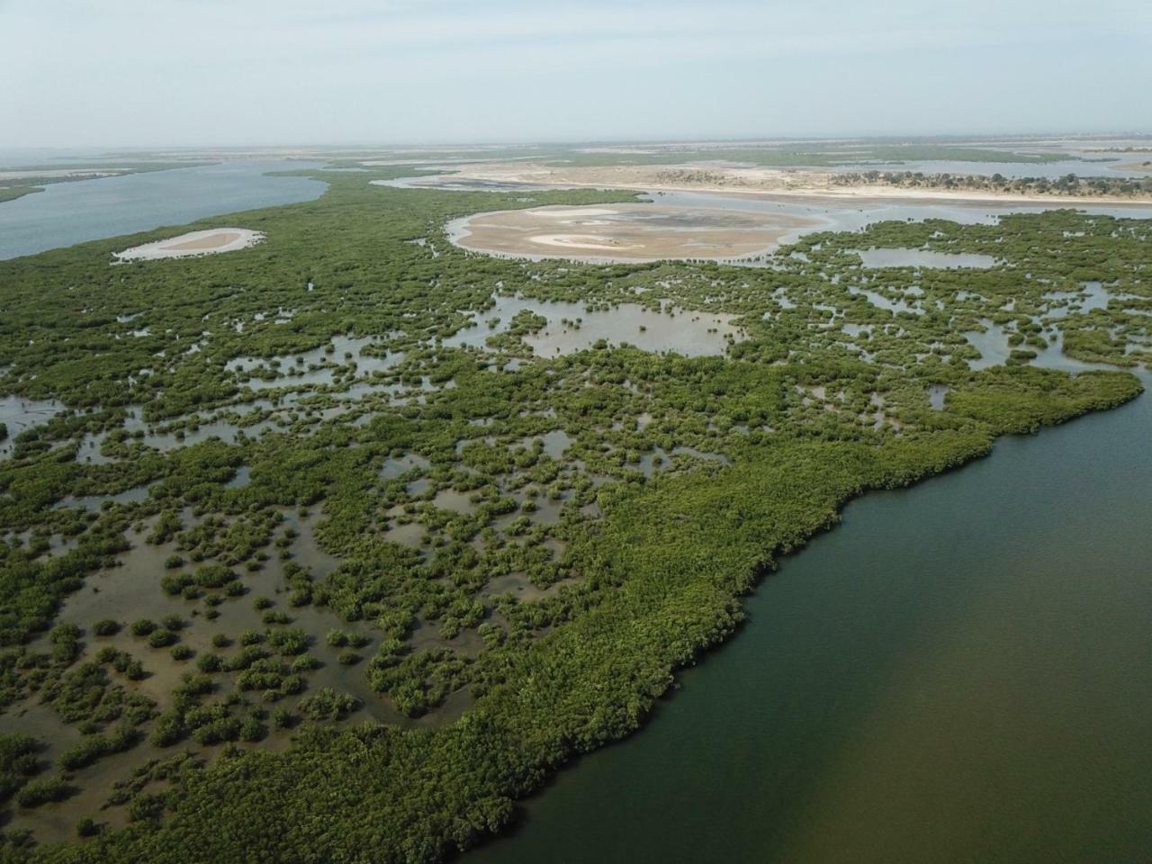 Le Pelican Du Saloum Sine-Saloum Kültér fotó