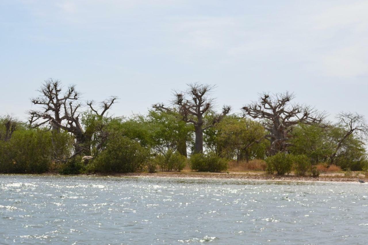 Le Pelican Du Saloum Sine-Saloum Kültér fotó
